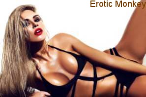 Selecting Finest Bronx Companions